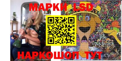 мдпв Кингисепп