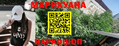 мдпв Кингисепп