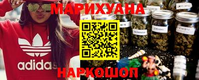 мдпв Кингисепп