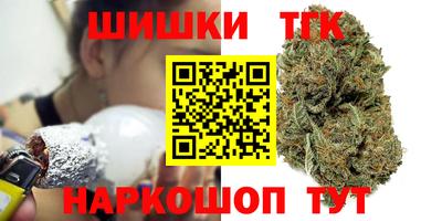 мдпв Кингисепп