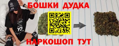 мдпв Кингисепп
