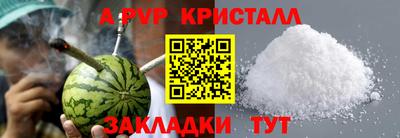 мдпв Кингисепп