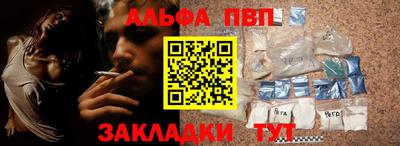 мдпв Кингисепп
