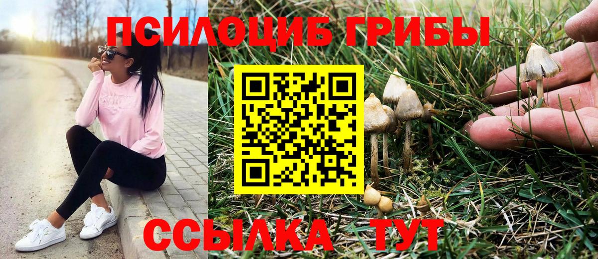 Псилоцибиновые грибы MAGIC MUSHROOMS Красный Сулин