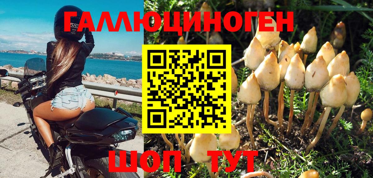 Псилоцибиновые грибы Magic Shrooms  Вход с VPN  Красный Сулин 